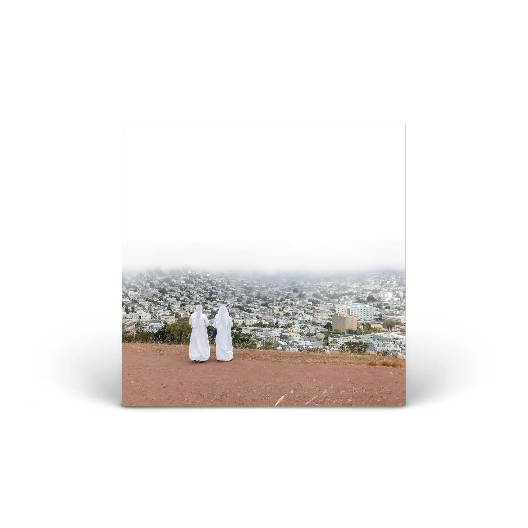 Asphalt Meadows Vinyl [LP]