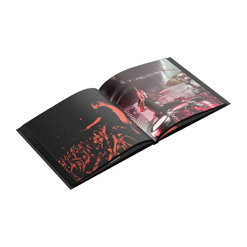Blurryface (10th Anniversary) Vinyl Coffee Table Book [LP] - Image 4
