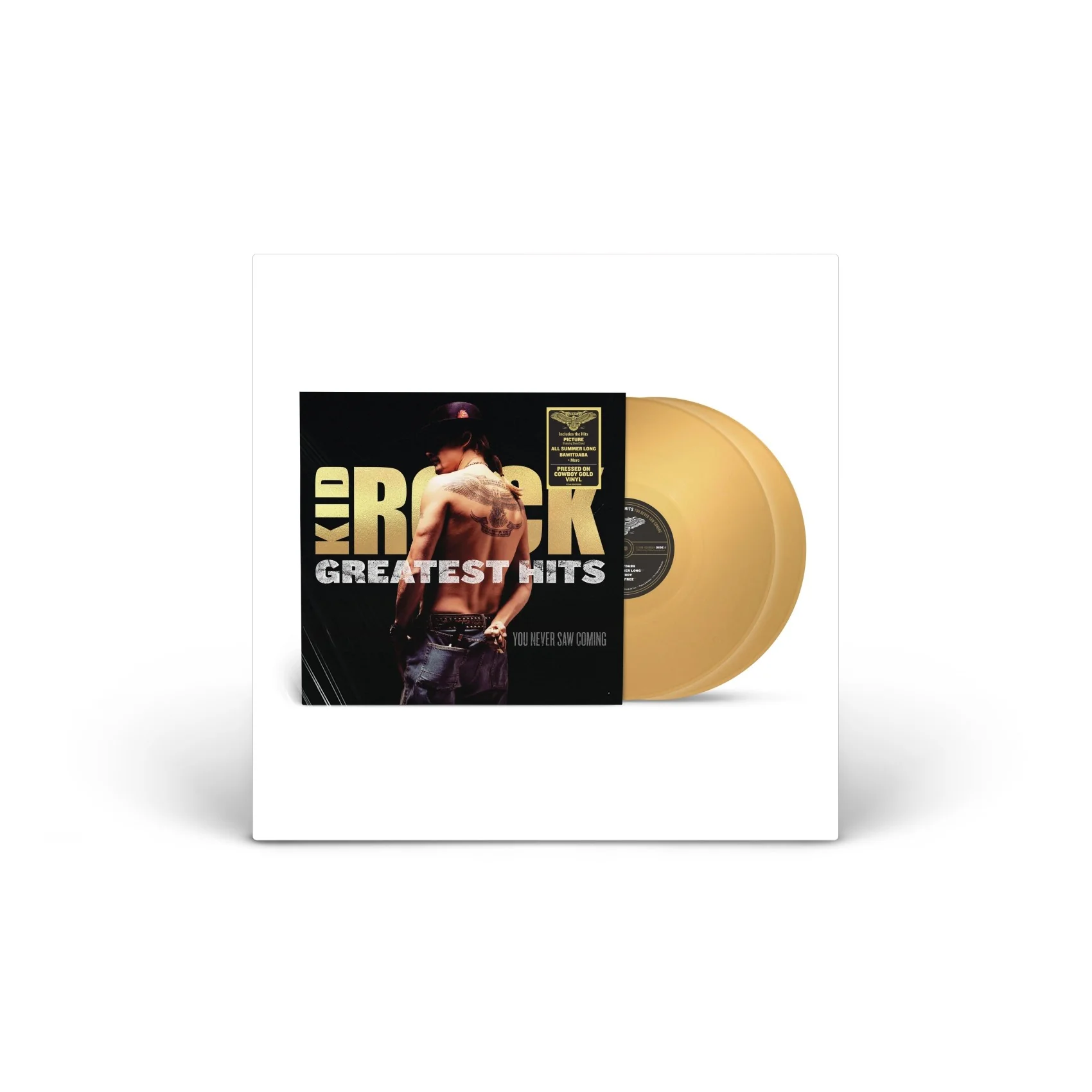 Greatest Hits: You Never Saw Coming Vinyl [2LP]