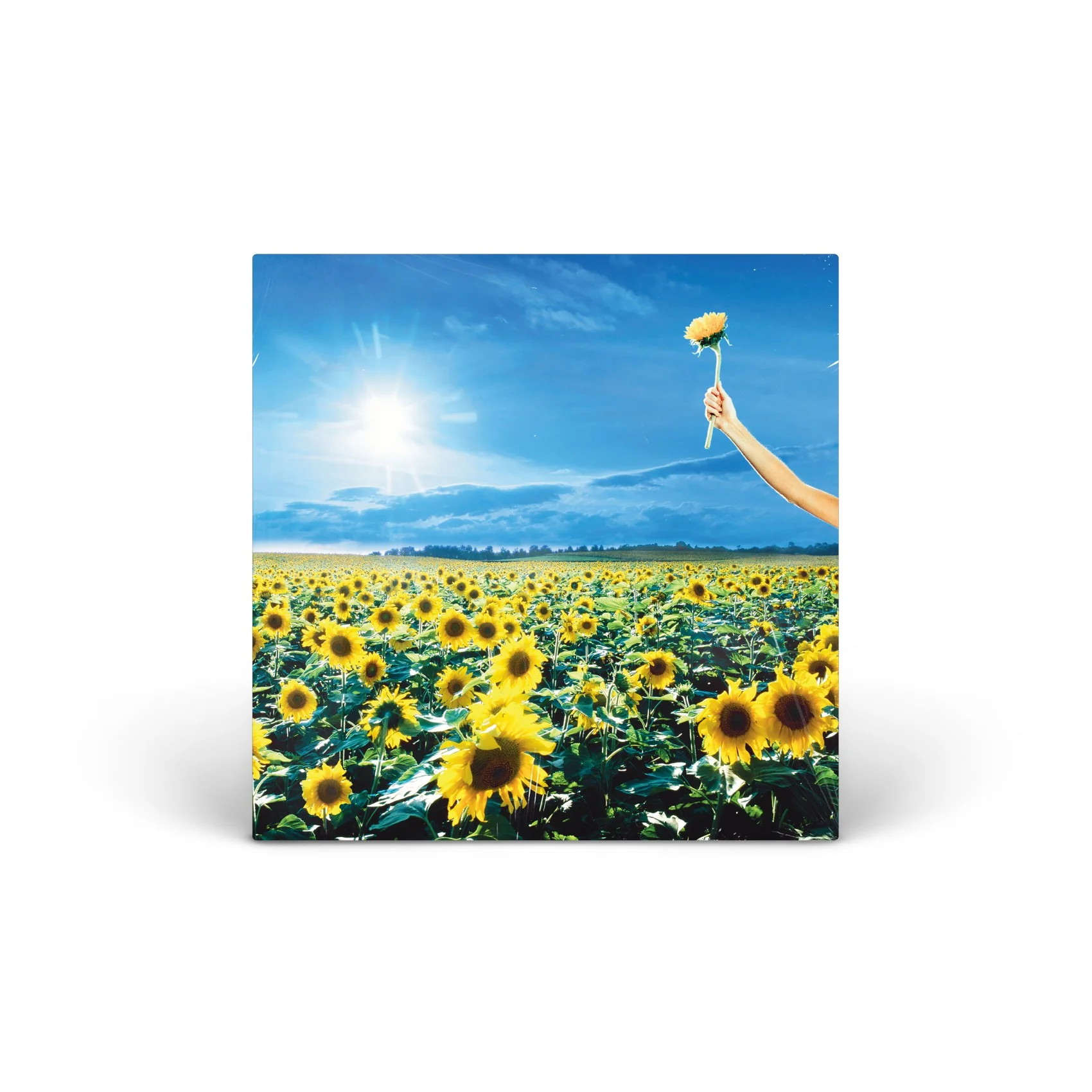 Thank You (Opaque Sky Blue Vinyl) Vinyl [2LP]