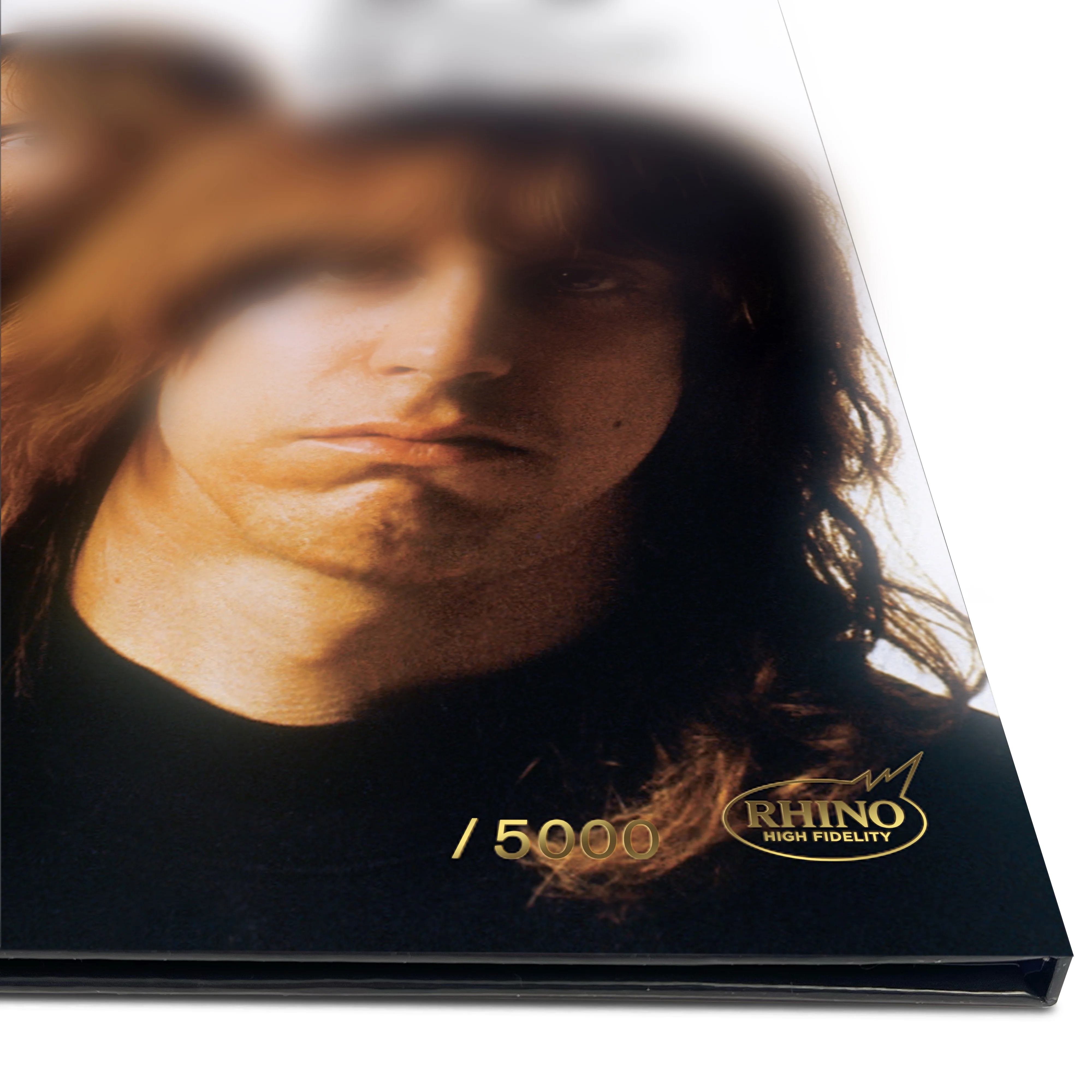 The Stooges (Rhino High Fidelity) Vinyl [LP] - Image 5