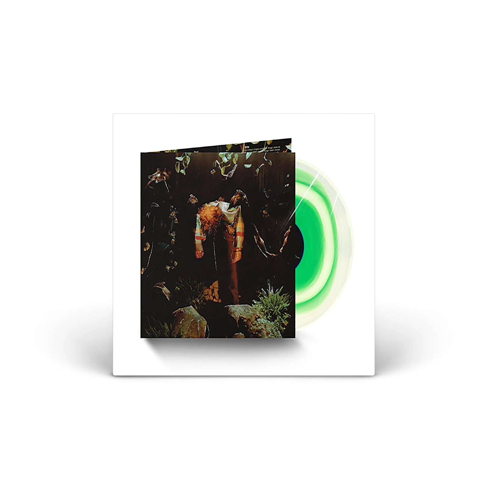 worm food Vinyl [LP]